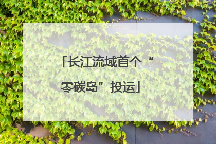 长江流域首个“零碳岛”投运