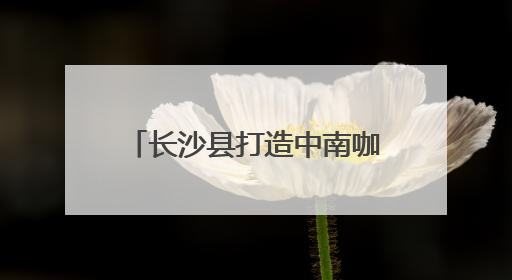 长沙县打造中南咖啡产业高地 签约7个咖啡产业项目