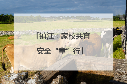 镇江：家校共育 安全“童”行