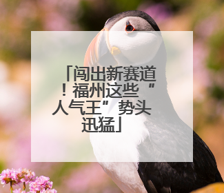 闯出新赛道！福州这些“人气王”势头迅猛