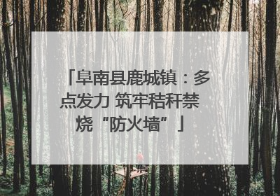 阜南县鹿城镇：多点发力 筑牢秸秆禁烧“防火墙”