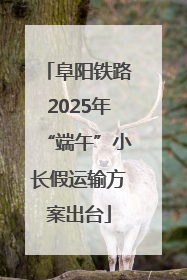阜阳铁路2025年“端午”小长假运输方案出台