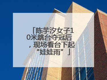 陈芋汐女子10米跳台夺冠后，现场看台下起“娃娃雨”