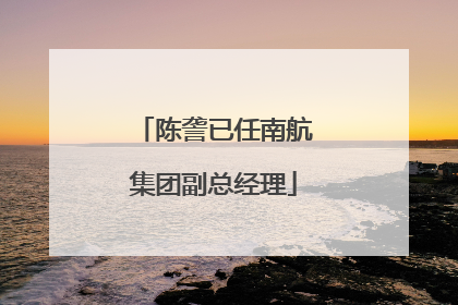 陈詟已任南航集团副总经理