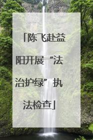 陈飞赴益阳开展“法治护绿”执法检查