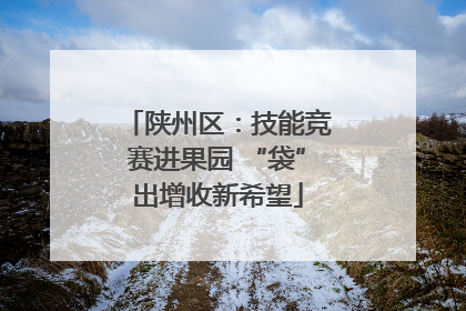 陕州区：技能竞赛进果园 “袋”出增收新希望