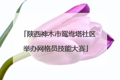 陕西神木市鸳鸯塔社区举办网格员技能大赛