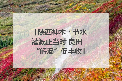陕西神木：节水灌溉正当时 良田“解渴”促丰收