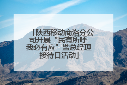 陕西移动商洛分公司开展“民有所呼 我必有应”暨总经理接待日活动