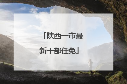 陕西一市最新干部任免