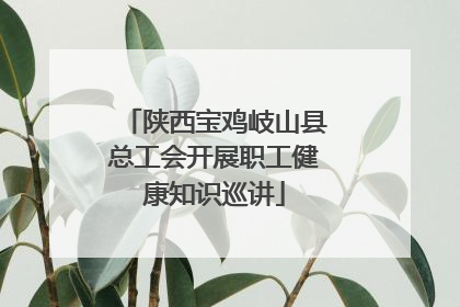 陕西宝鸡岐山县总工会开展职工健康知识巡讲