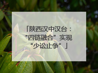 陕西汉中汉台：“四链融合”实现“少讼止争”