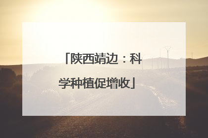 陕西靖边：科学种植促增收