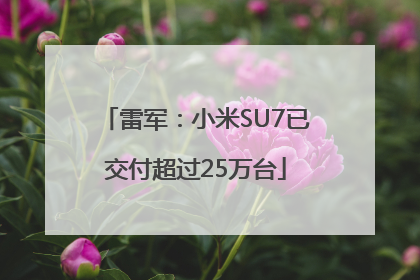 雷军：小米SU7已交付超过25万台