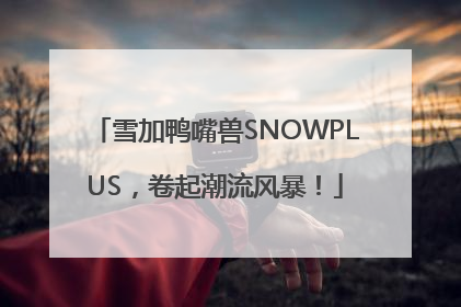 雪加鸭嘴兽SNOWPLUS，卷起潮流风暴！