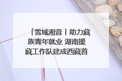 雪域湘音丨助力藏族青年就业 湖南援藏工作队建成西藏首个清洁能源装备园