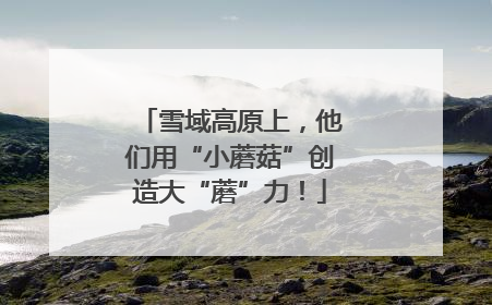 雪域高原上，他们用“小蘑菇”创造大“蘑”力！