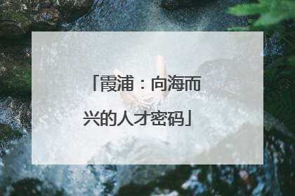 霞浦：向海而兴的人才密码