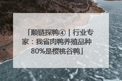 顺链探鸭④｜行业专家：我省肉鸭养殖品种80%是樱桃谷鸭