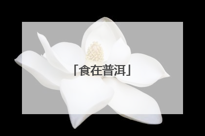 食在普洱