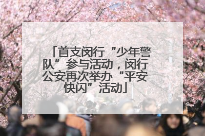 首支闵行“少年警队”参与活动，闵行公安再次举办“平安快闪”活动