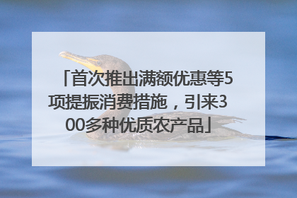 首次推出满额优惠等5项提振消费措施，引来300多种优质农产品