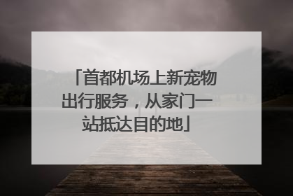 首都机场上新宠物出行服务，从家门一站抵达目的地