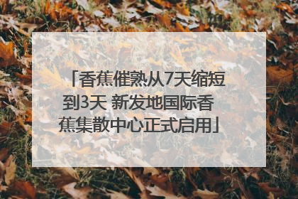 香蕉催熟从7天缩短到3天 新发地国际香蕉集散中心正式启用