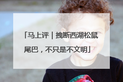 马上评｜拽断西湖松鼠尾巴，不只是不文明