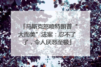 马斯克怒喷特朗普“大而美”法案：忍不了了，令人厌恶至极