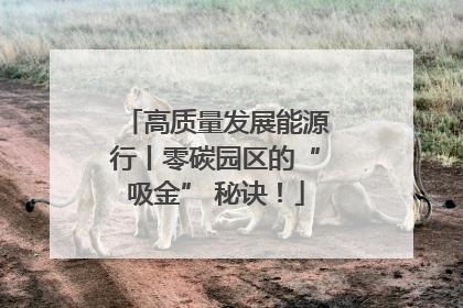高质量发展能源行丨零碳园区的“吸金” 秘诀！