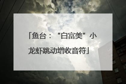 鱼台：“白富美”小龙虾跳动增收音符