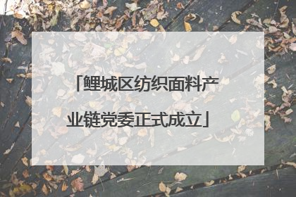 鲤城区纺织面料产业链党委正式成立