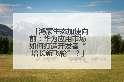 鸿蒙生态加速向前：华为应用市场如何打造开发者“增长新飞轮”？