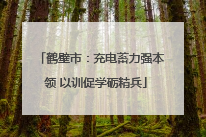 鹤壁市：充电蓄力强本领 以训促学砺精兵