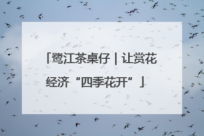 鹭江茶桌仔｜让赏花经济“四季花开”