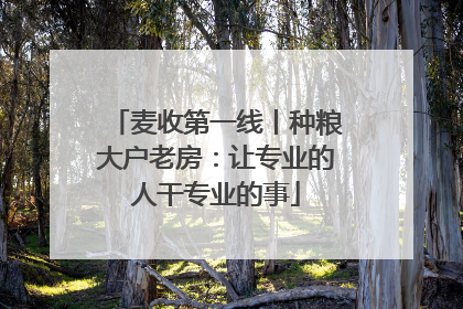 麦收第一线丨种粮大户老房：让专业的人干专业的事