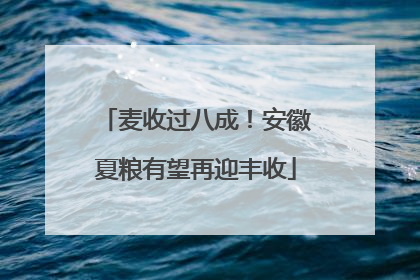 麦收过八成！安徽夏粮有望再迎丰收