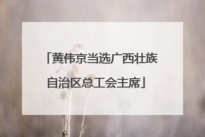 黄伟京当选广西壮族自治区总工会主席