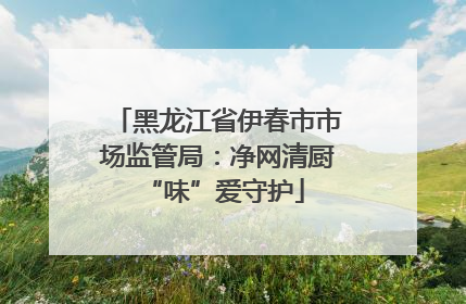 黑龙江省伊春市市场监管局：净网清厨 “味”爱守护