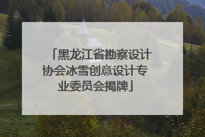 黑龙江省勘察设计协会冰雪创意设计专业委员会揭牌