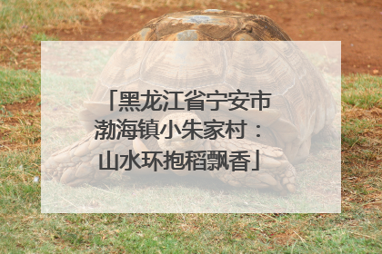 黑龙江省宁安市渤海镇小朱家村：山水环抱稻飘香