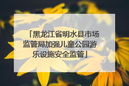 黑龙江省明水县市场监管局加强儿童公园游乐设施安全监管