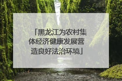 黑龙江为农村集体经济健康发展营造良好法治环境
