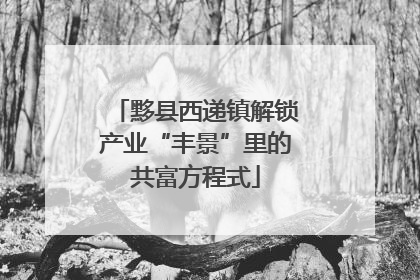 黟县西递镇解锁产业“丰景”里的共富方程式
