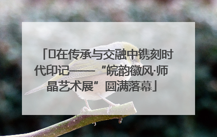 ﻿在传承与交融中镌刻时代印记——“皖韵徽风·师晶艺术展”圆满落幕