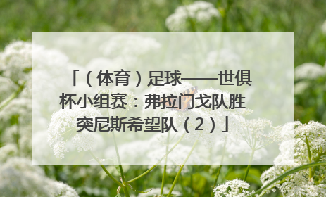 （体育）足球——世俱杯小组赛：弗拉门戈队胜突尼斯希望队（2）