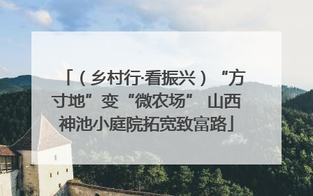 （乡村行·看振兴）“方寸地”变“微农场” 山西神池小庭院拓宽致富路