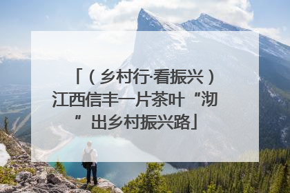 （乡村行·看振兴）江西信丰一片茶叶“沏”出乡村振兴路