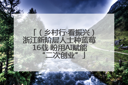 （乡村行·看振兴）浙江新阶层人士种蓝莓16载 盼用AI赋能“二次创业”
